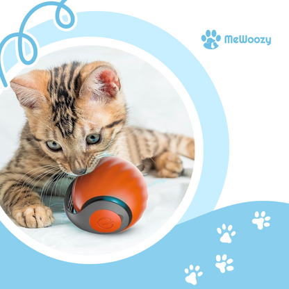 Kattenspeelbal Oplaadbaar – Voor Zelfstandig Actief Spel