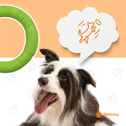 Gooi- En Kauwring Voor Honden – Voor Actief Spel Buiten