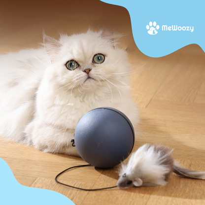 Kattenbal Met Beweegbare Staart – Voor Actief Jachtspel