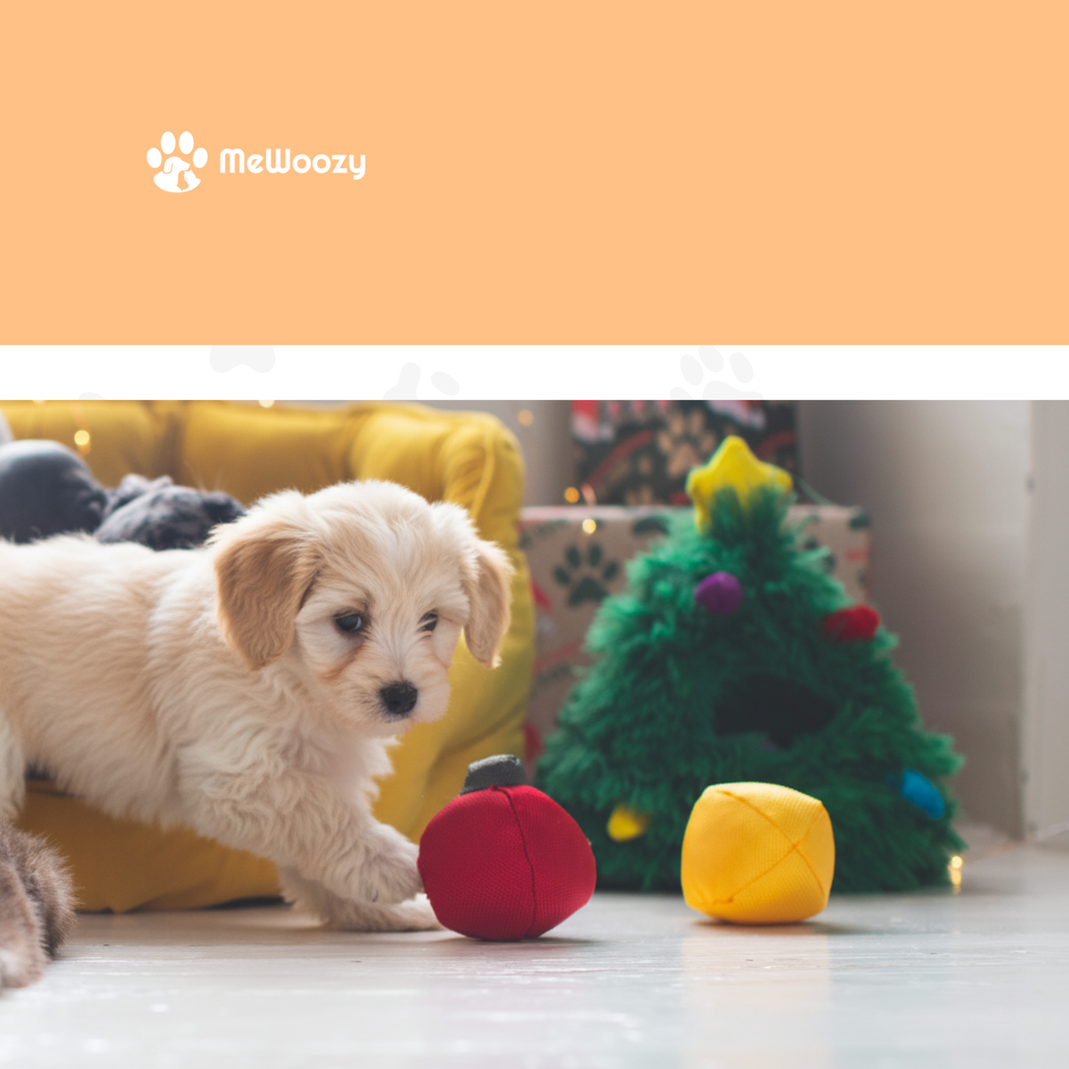 Lichtblonde puppy speelt met rode en gele ballen naast de groene kerstboom