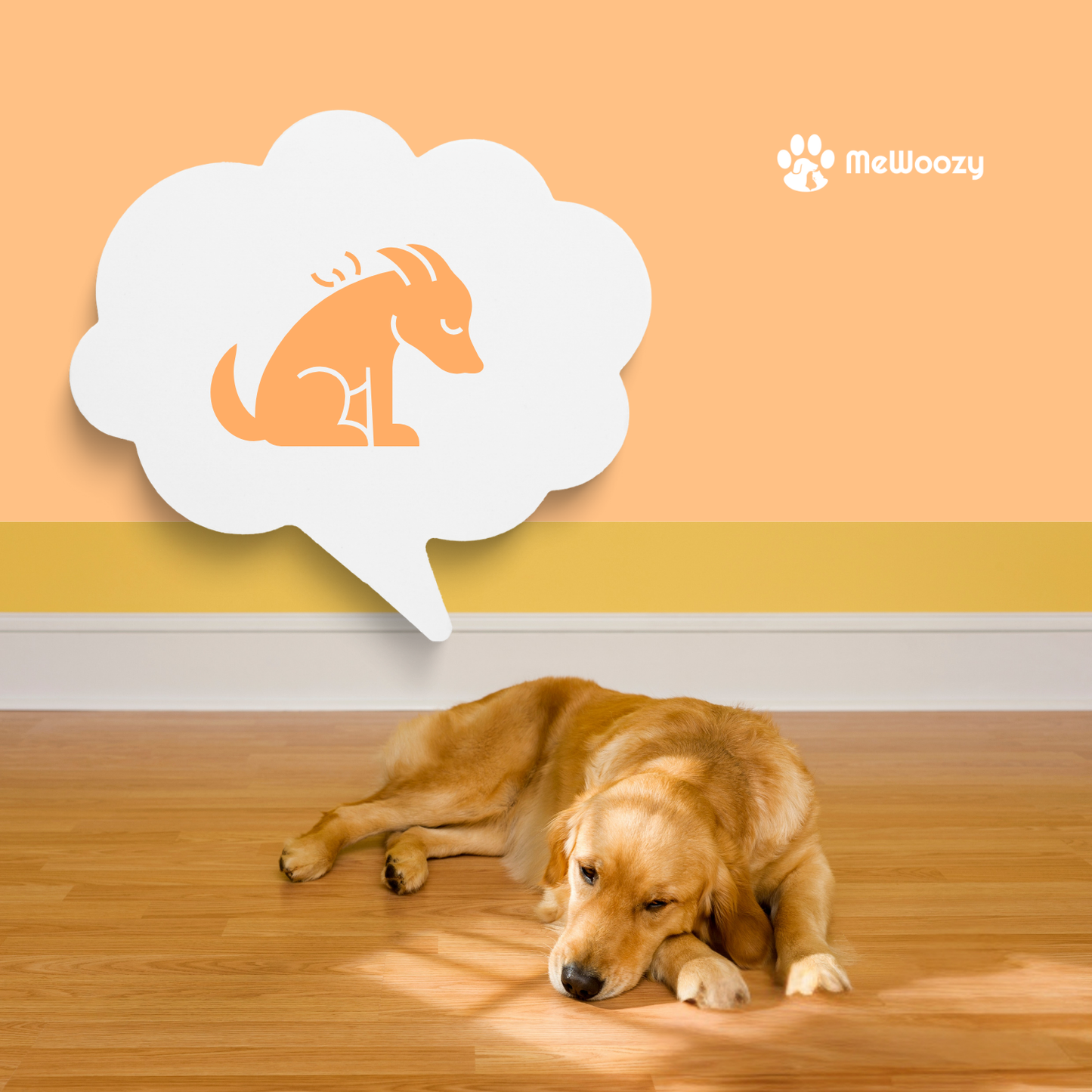 Snuffelbot Voor Honden En Katten – Voor Slim En Rustig Spel