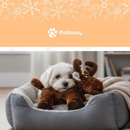 Wit hondje in een grijze hondenmand met de rendierknuffel op zijn rug