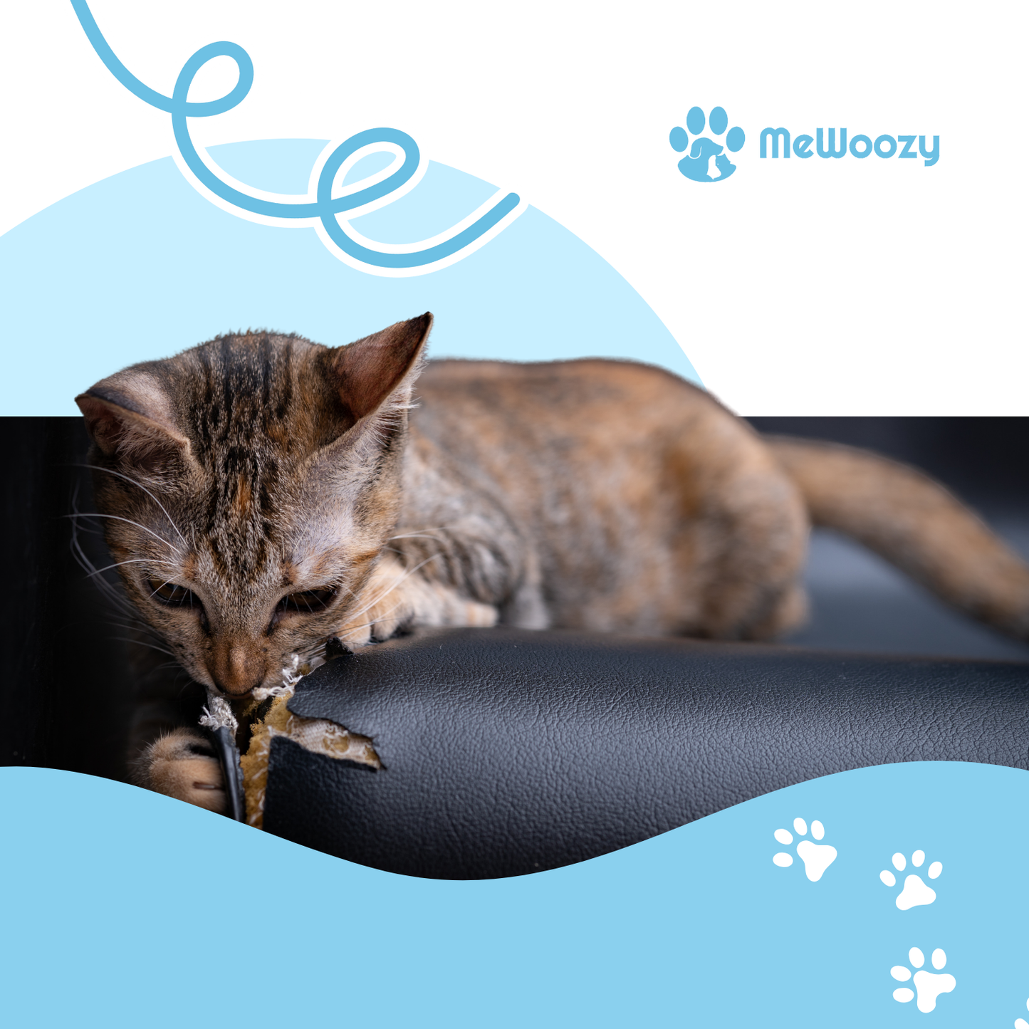 Interactieve Katten UFO Speelbal – Voor Slim En Alleen Spel