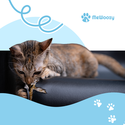 Interactieve Katten UFO Speelbal – Voor Slim En Alleen Spel