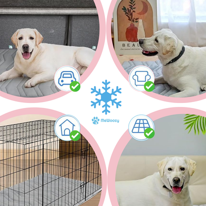 Koelmat Hond Zonder Gel – Voor Verfrissing Op Warme Dagen