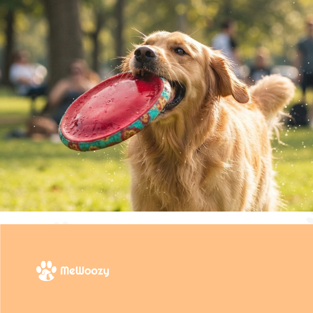Golden retriever met de rode frisbee in zijn bek in het park
