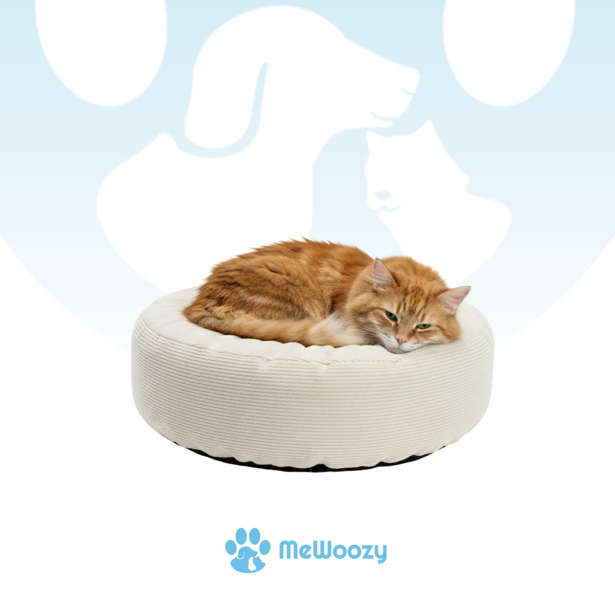 Rode kat ligt opgerold te slapen op het witte kattenbed