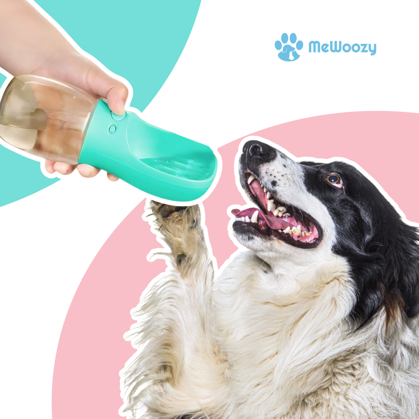 Portable Dog Water Bottle – For On-the-Go Hydration