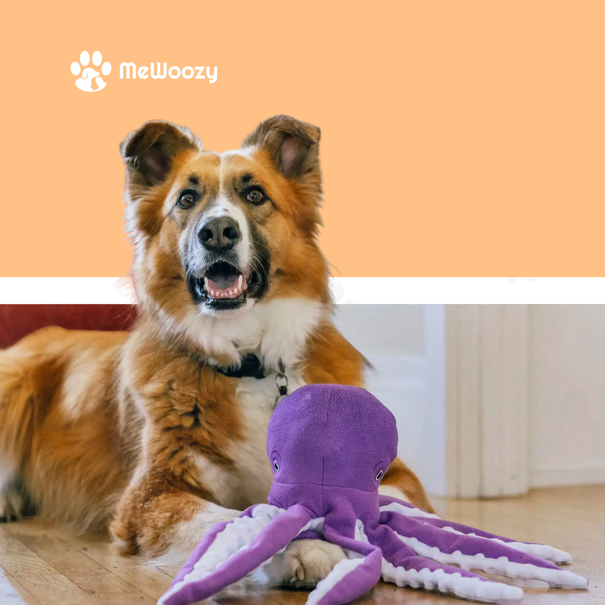 Pluchen Octopus Hondenspeeltje