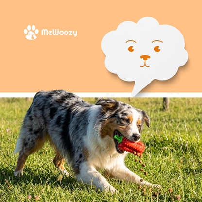 Snackbal Voor Honden – Voor Kauwplezier En Minder Verveling