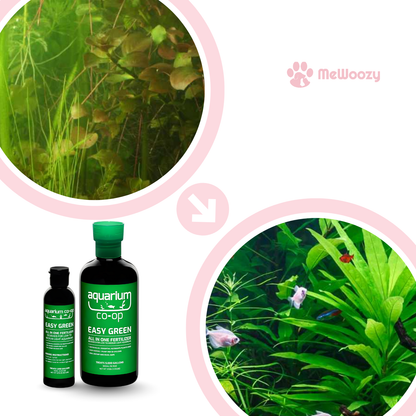 Aquarium Plantenvoeding Vloeibaar – Voor Gezond Groene Groei