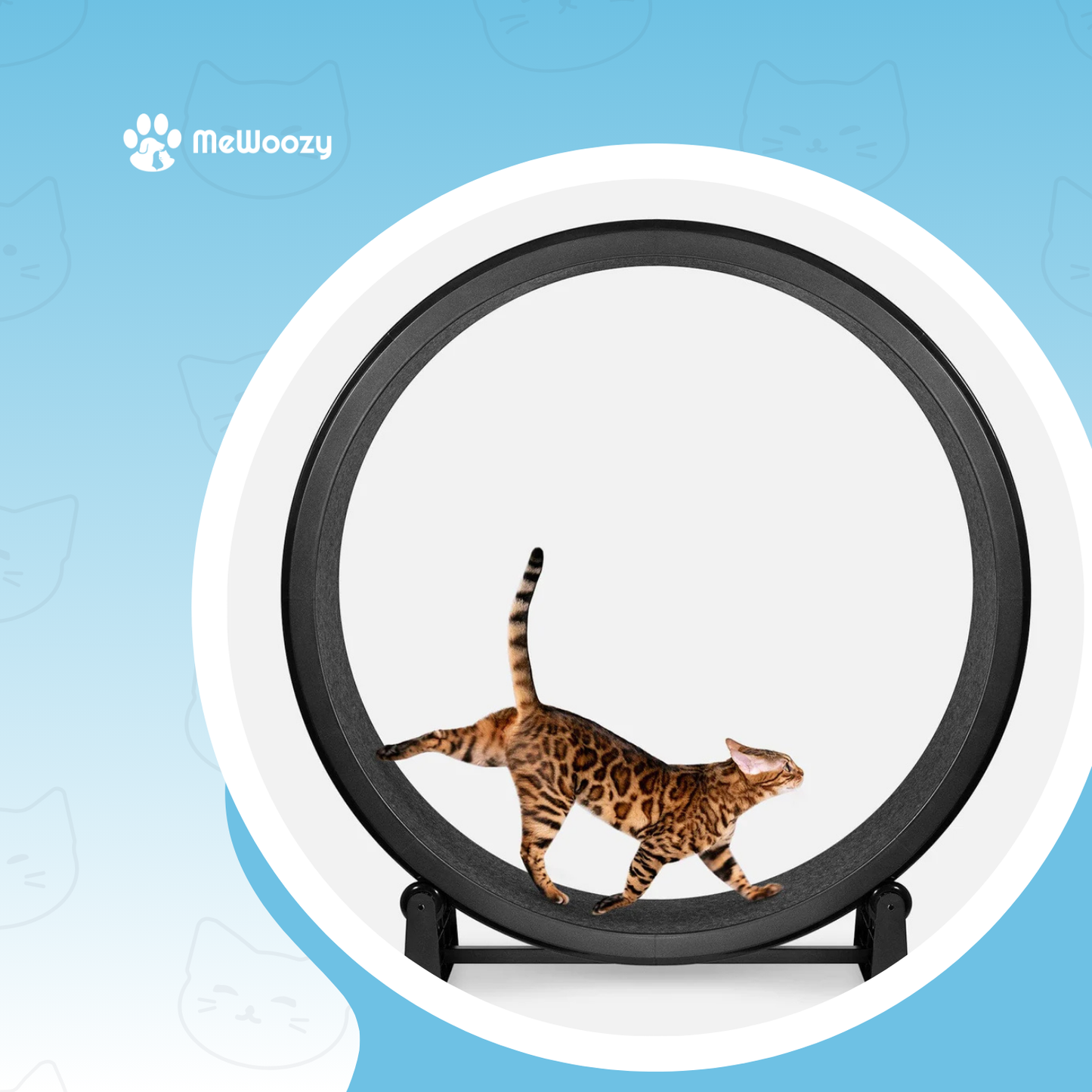 Katten Renwiel Met Antislip – Voor Meer Beweging Thuis