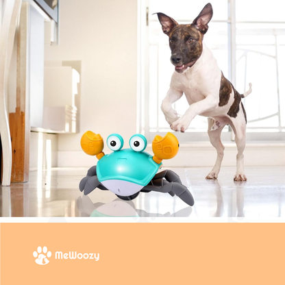 Kruipend Hondenspeelgoed Met Sensor – Voor Actief Vermaak Thuis