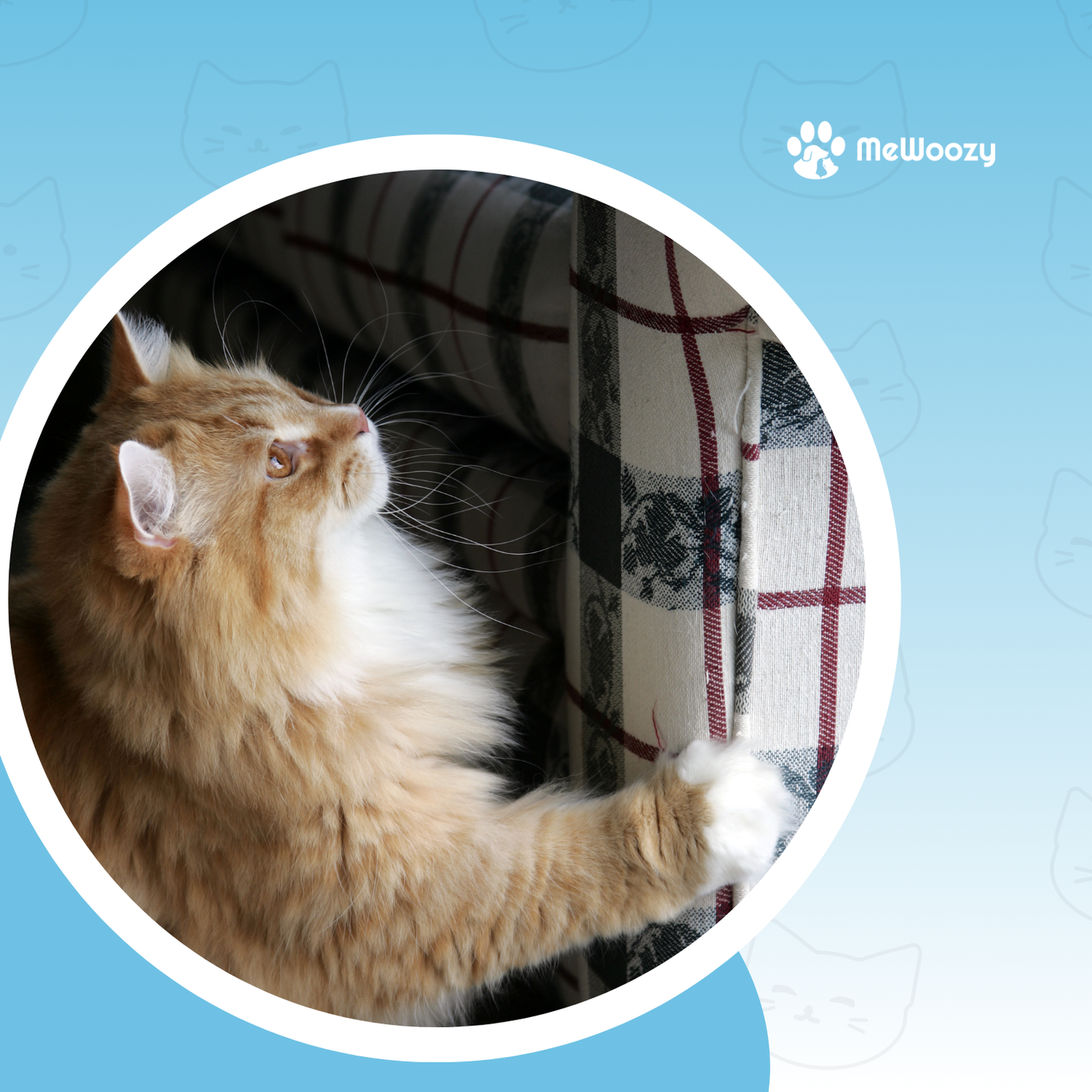 Krabpaal Met Hoog Bed Voor Katten – Met Speelkoord En Rustplek