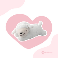 Schaap