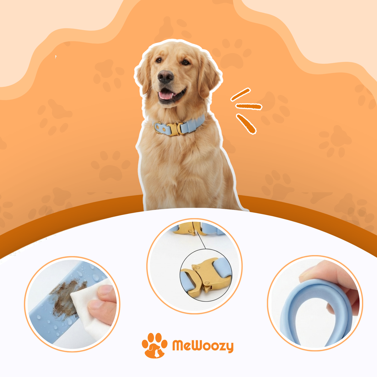 Golden retriever met blauwe halsband, close-ups van afvegen, klikgesp en buigzaam materiaal