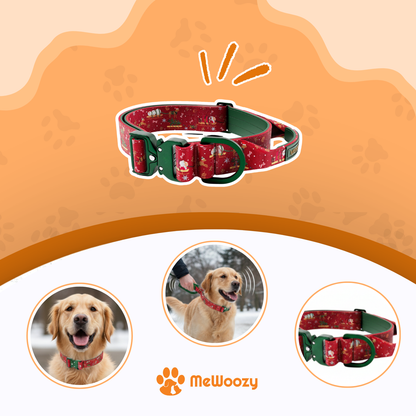 Golden retriever met de rode halsband, ook aangelijnd buiten in de winter