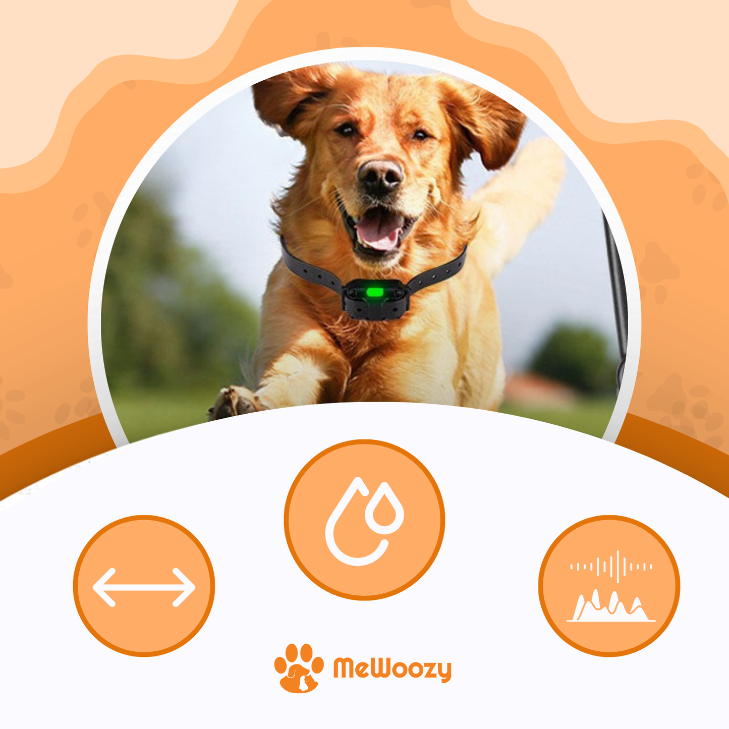 Hondentrainingshalsband Met Afstandsbediening – Voor Rustige Wandelingen