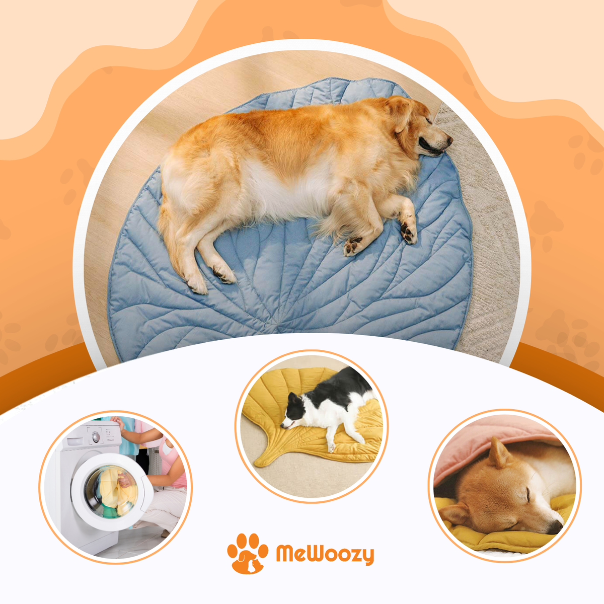 Golden retriever op blauwe deken, met wasmachine, kat en hond onder deken