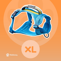 XL