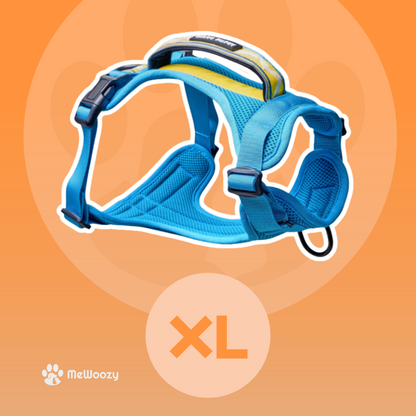 Lightweight Mesh Dog Harness – For Adventurous Walks