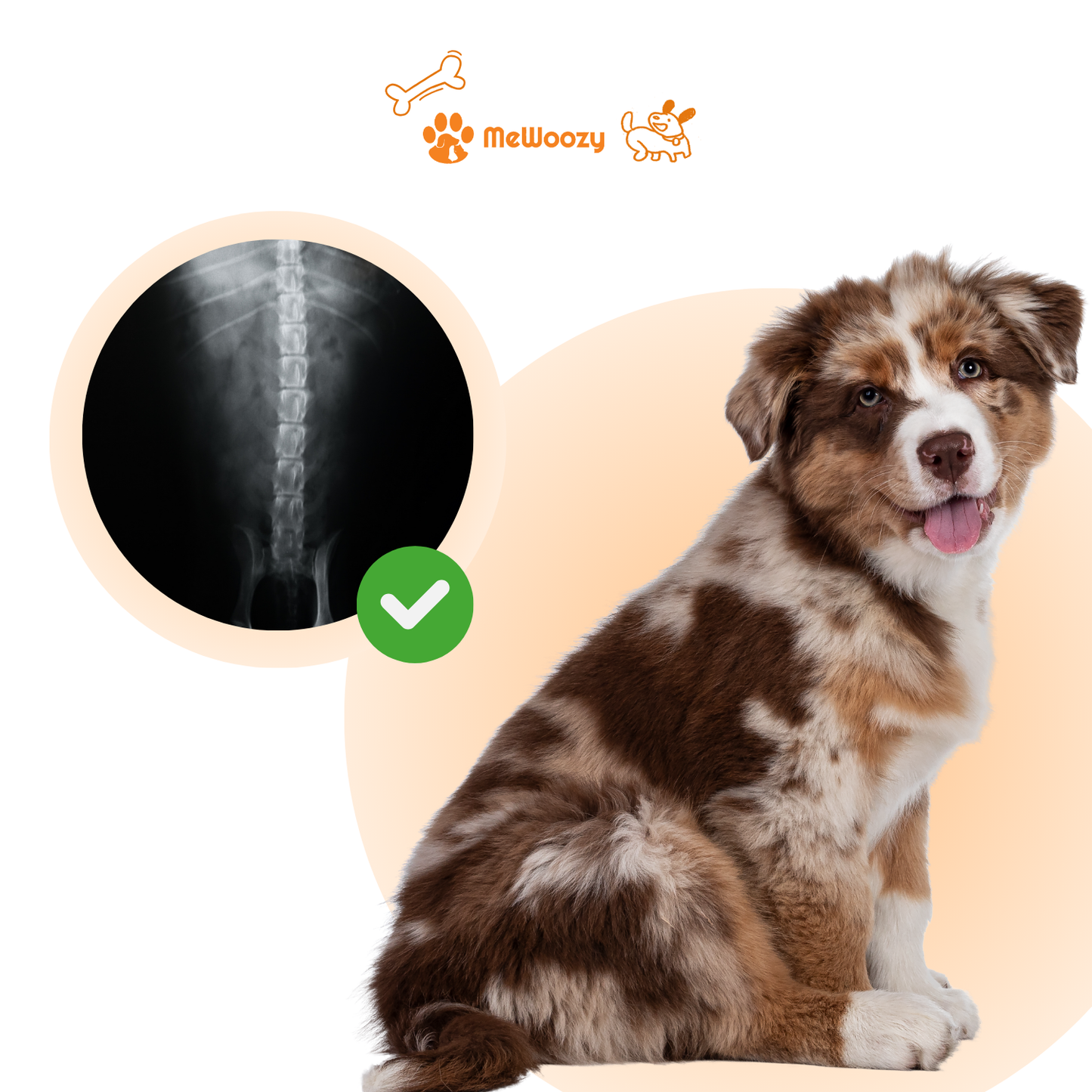 Orthopedisch Hondenkussen – Voor Steun Bij Pijnlijke Gewrichten