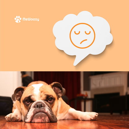 Snuffelhamburger Voor Honden – Voor Slim Spel En Vermaak