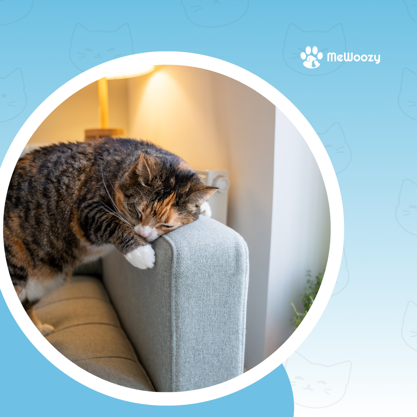 Wandplateau Voor Katten – Voor Klimmen En Krabplezier Thuis