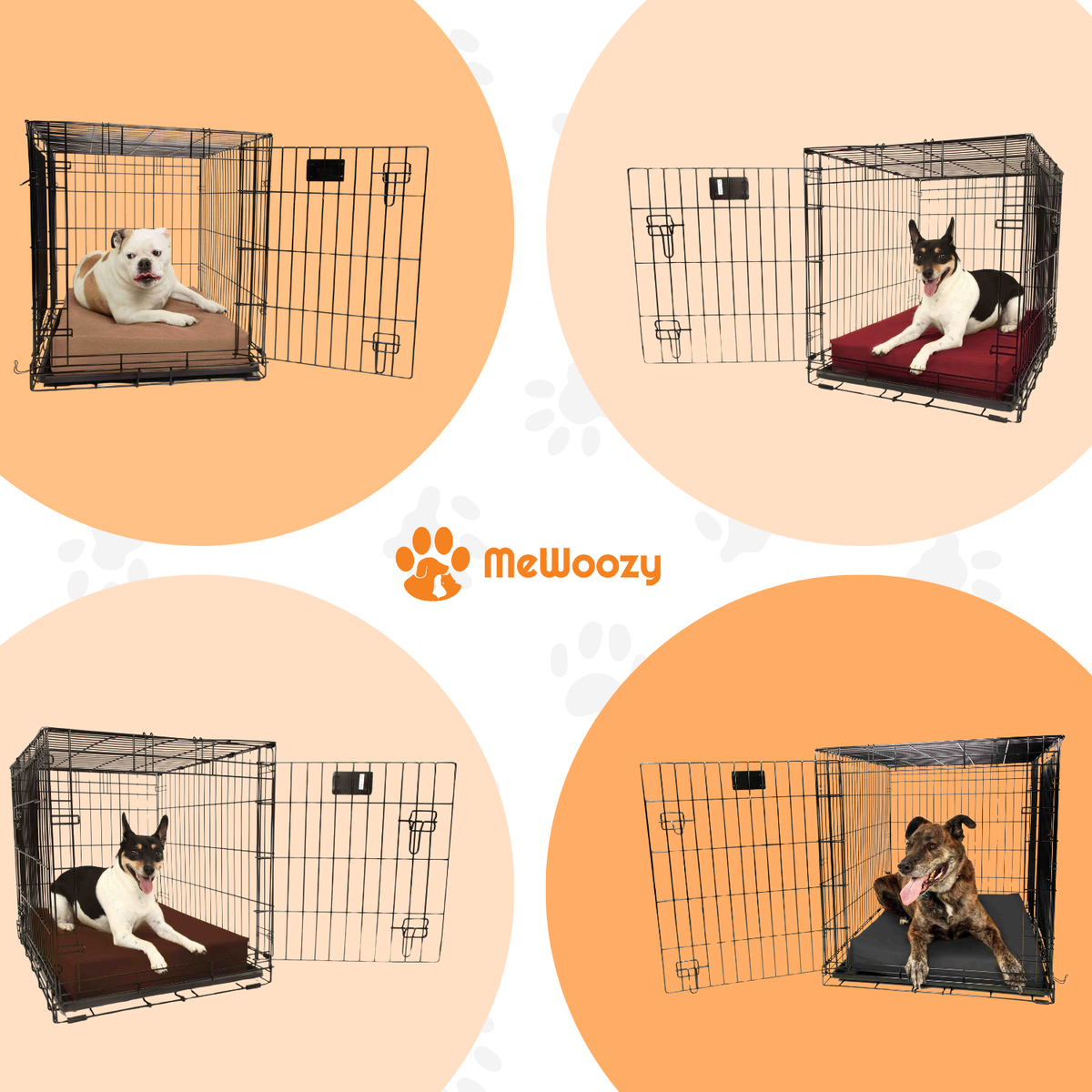 Vier honden liggend op het bed in open benches, in verschillende kleuren