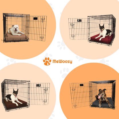 Vier honden liggend op het bed in open benches, in verschillende kleuren