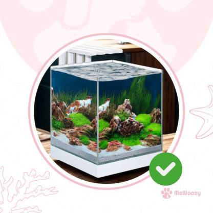 Compact Aquarium Met Led En Filter – Voor Makkelijk Thuisgebruik