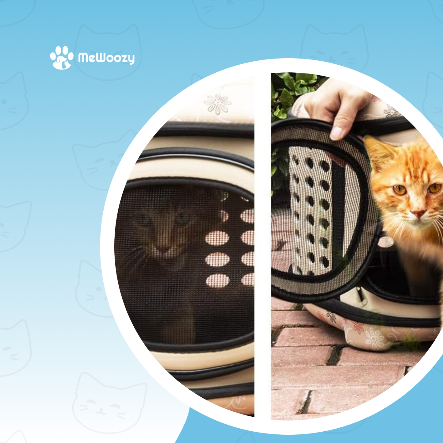 Draagtas Voor Katten – Met Ventilatie Voor Onderweg