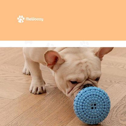 Franse bulldog snuffelt aan de blauwe frisbee op een houten vloer