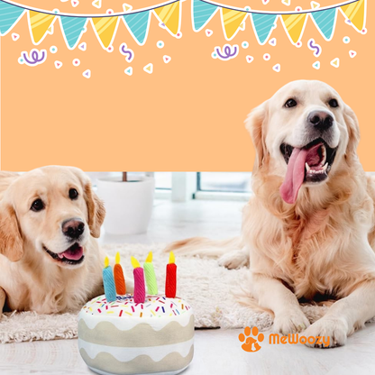 Verjaardagsspeelset Voor Honden – Met Piepgeluid En Pluche