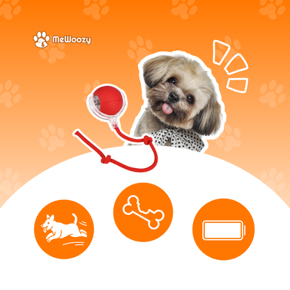 Interactive Dog Toy Ball – Against Boredom &amp; Stress
