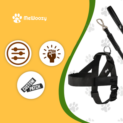 Dog Harness with Leash and Name Tag – For Comfortable Walks
