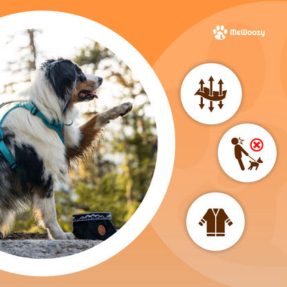 Lightweight Mesh Dog Harness – For Adventurous Walks