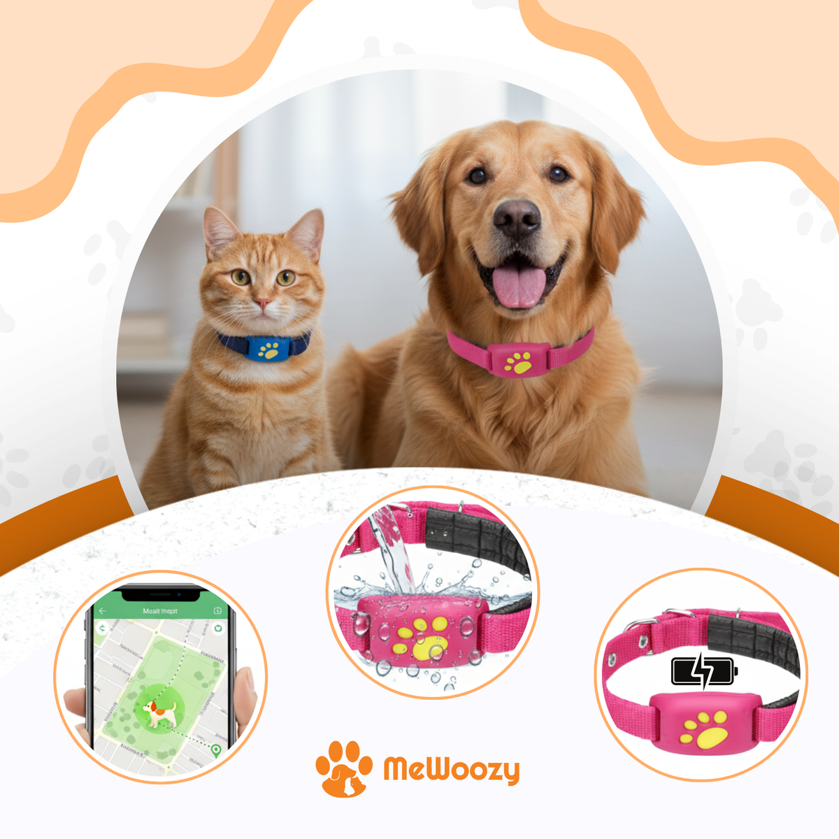 Kat en golden retriever met tracker, plus app-kaart, waterbestendigheid en opladen