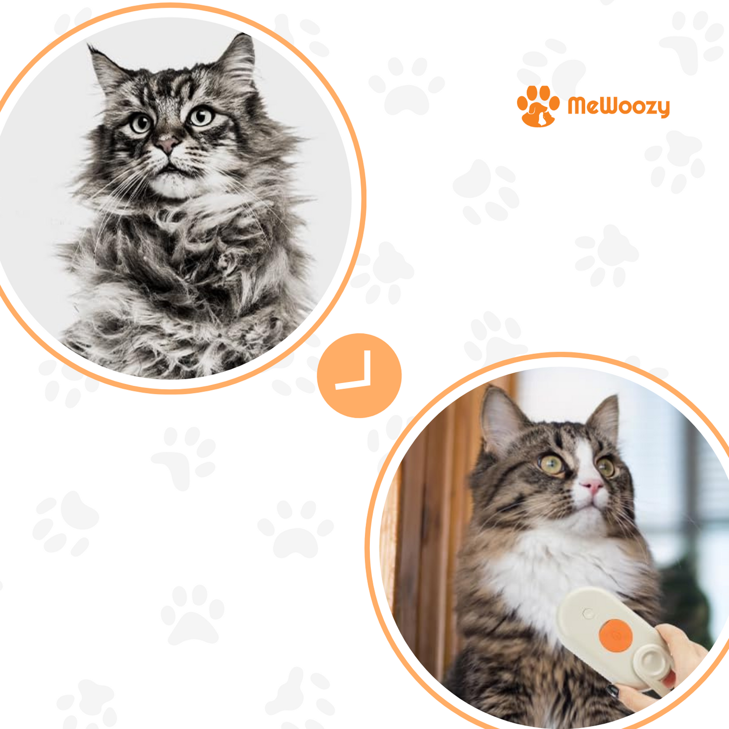 Stoomborstel Voor Huisdieren – Voor Zachte En Glanzende Vacht