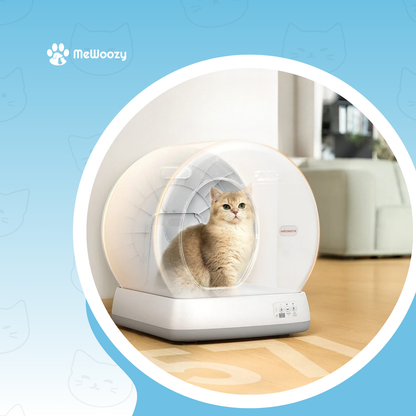 Zelfreinigende Kattenbak Met App – Voor Minder Geur Thuis