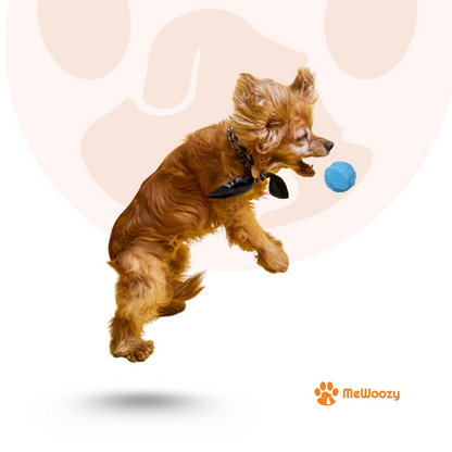 Interactive Play Ball for Dogs – Against Boredom