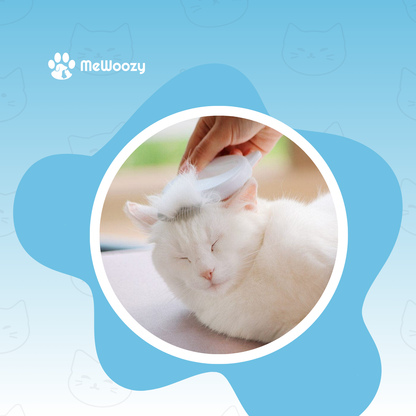 Massagekam Voor Katten – Voor Minder Haar En Meer Rust