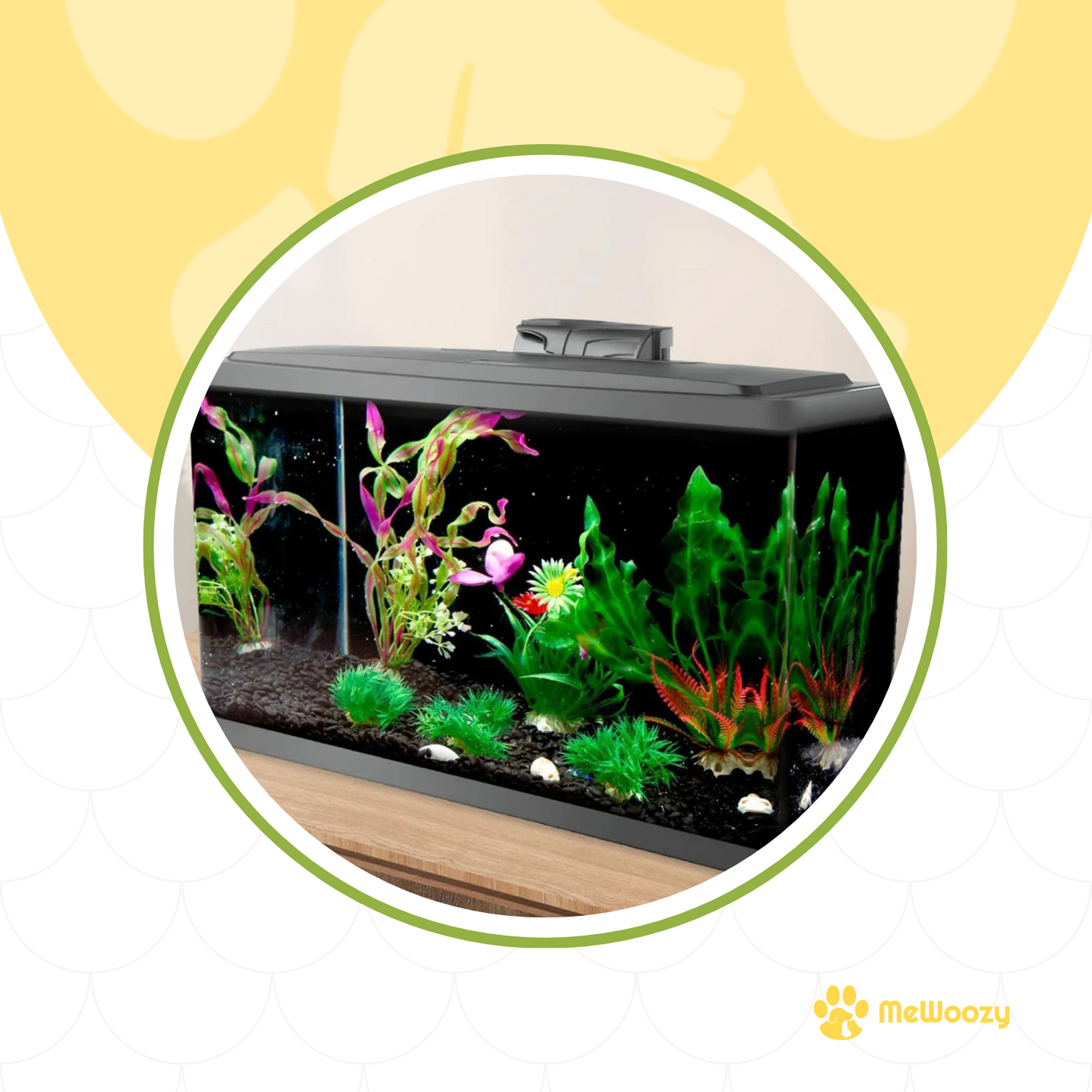 Aquarium Achterwand Zwart – Voor Heldere Kleurweergave