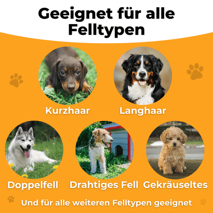 Vijf honden met kort, lang, dubbel, ruw en krullend haar als vachttypes