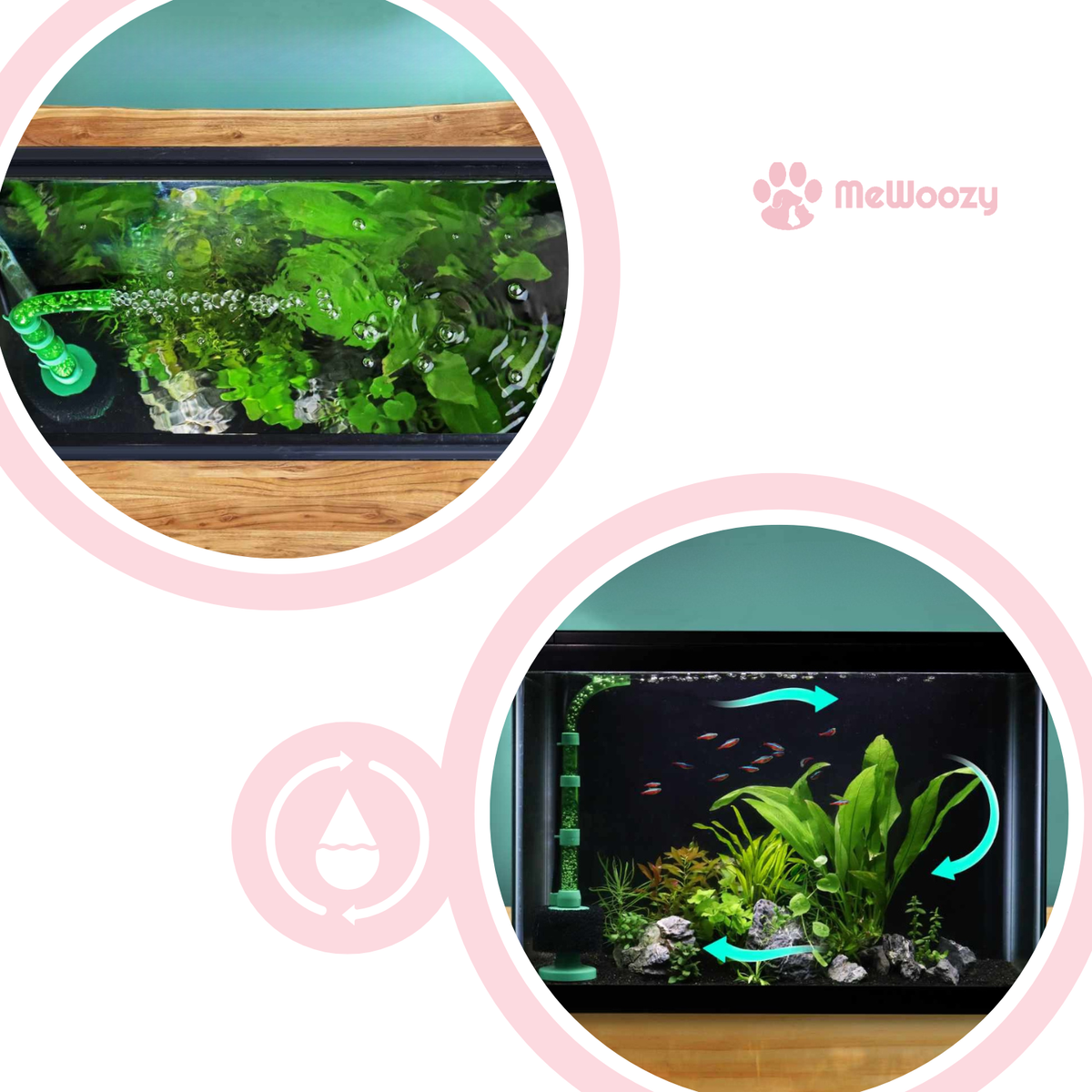 Sponsfilter Voor Aquarium – Voor Schone En Stille Waterstroom