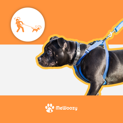 Anti-Pull Dog Harness – For Peaceful Walks