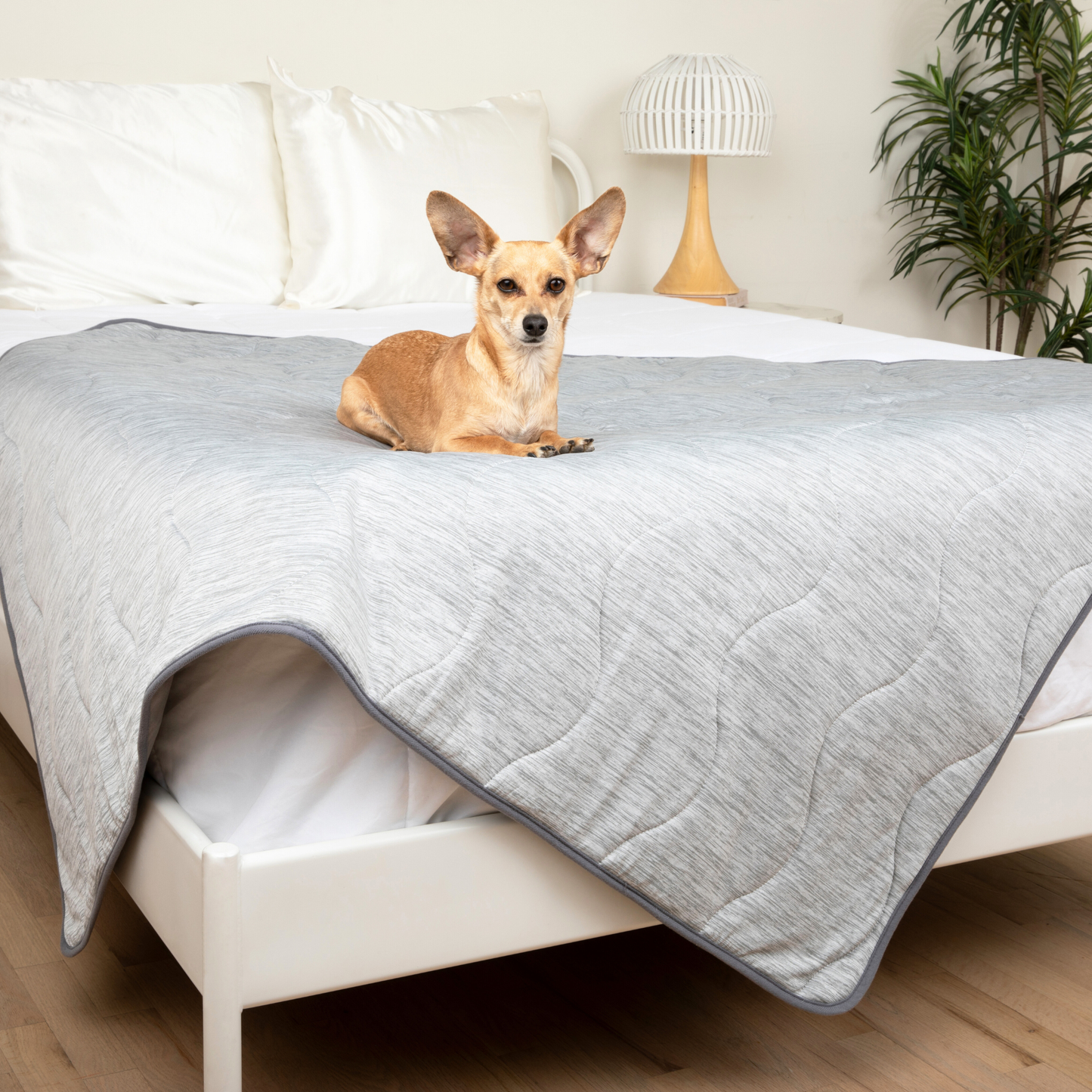 Cool Dog Blanket – Heat &amp; Stain Protection