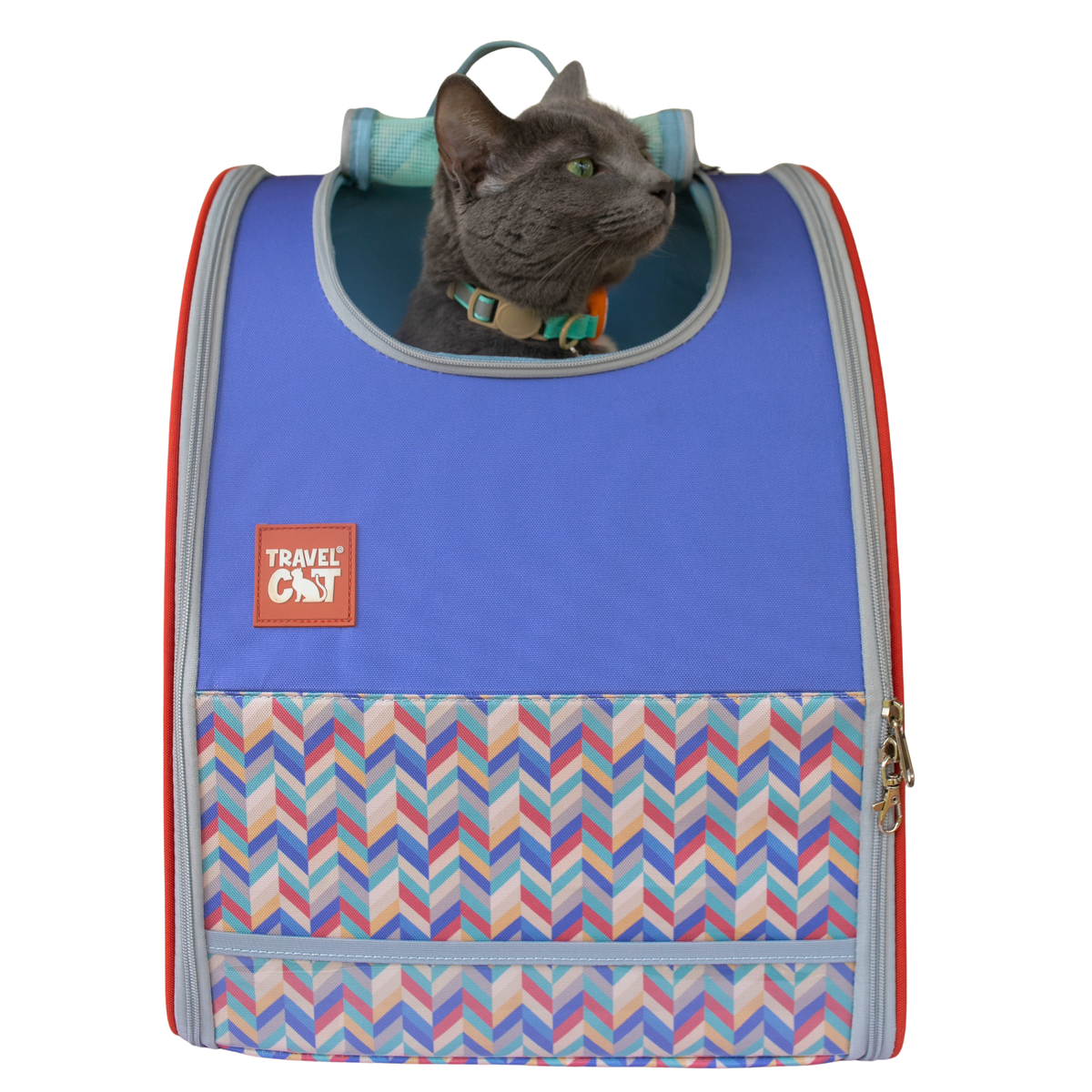 Blauwe kattenrugzak met chevronprint, grijze kat kijkt uit de bovenopening