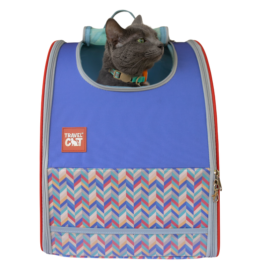 Blauwe kattenrugzak met chevronprint, grijze kat kijkt uit de bovenopening