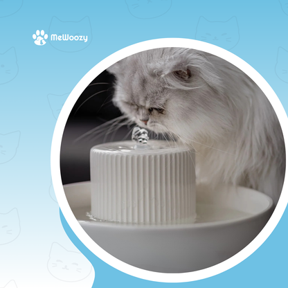 Katten Drinkfontein Keramisch – Voor Meer Water En Rust